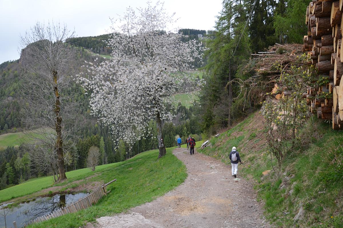 Steinmannhof 18.04.2017